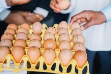 Ethiopia to boost poultry, dairy products