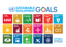 Taking stock of progress on SDGs implementation