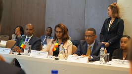 Ethiopia, France economic meeting opens in Addis