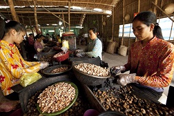Alliance to promote decent work across food systems