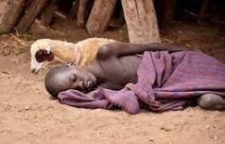 Deadly diseases upsurge in Africa