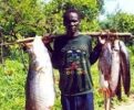 Fish market and processing business in Ethiopia