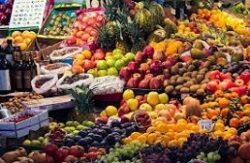 Investment opportunities in fruits, vegetables processing in Ethiopia