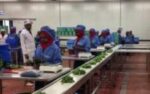 Requirements and steps to invest in Ethiopia