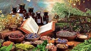 WHO organizes traditional medicine global summit in India