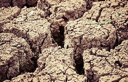 Germany set to host next Desertification, Drought Day