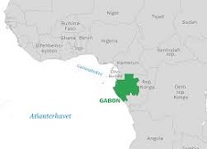 Gabon to invite investors in oil production