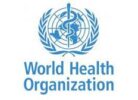 WHO calls for greater attention to violence against women
