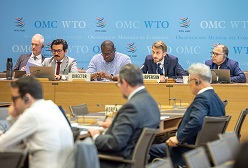 WTO adopts recommendations to support members tackle food insecurity