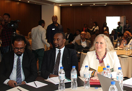 Conference highlights U.S. support for Ethiopian public universities