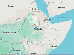 How war in Amhara disrupts Ethiopia's breadbasket