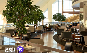 Star Alliance Los Angeles Lounge gets airport lounge award