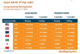 Two beneficiaries, losers from Ethiopia forex liberalization