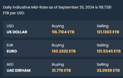 Impact of Ethiopia's IMF-backed forex floating on consumer