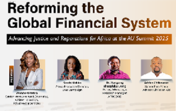 Panel Discussion on Africa Debt Feb 12, 2025