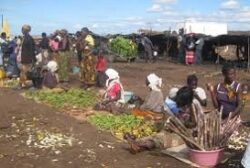 Africa urged to ratify free movement of persons protocol