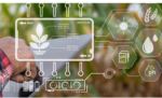 Agricultural value chains for a crisis-driven world