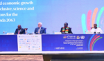 African leaders press for fast SDGs implementation