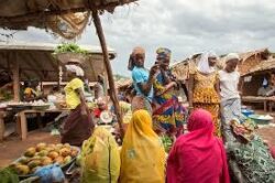 Africa’s blueprint for inclusive trade