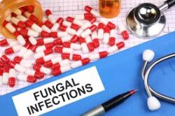 WHO issues reports on fungal infections tests, treatments