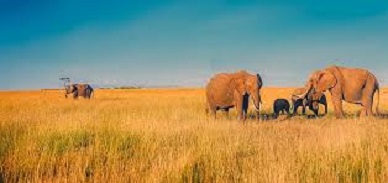 Africa missing out on $60 billion tourism markets