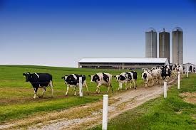 African Development Bank provides $100 million for industrial parks