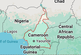 Cameroon secures $75 million financing from IMF