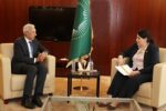 European Union special representatives visit Ethiopia