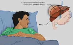 WHO urges action on hepatitis