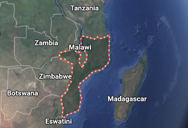 Service sector recovery to drive Mozambique economy in 2025