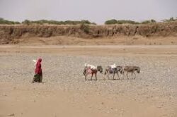 Alliance to promote global land restoration, drought resilience