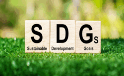 Workshop reflects on economic transformation in Southern, Eastern Africa