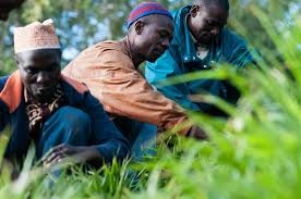 Key Sectors Driving Investment in Tanzania