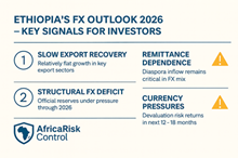 Investment Opportunities in Ethiopia Come with Rising Risk Asymmetry Across Key Sectors - Report