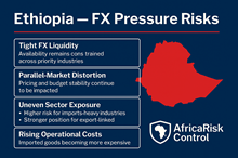 Ethiopia's Business Environment Require Stronger Local Intelligence as Conditions Evolve