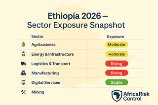 Sector Exposure in Ethiopia Which Industries Face Rising Risk in 2026