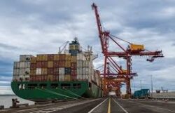 Supply chain, logistics executives anticipate global trade growth amid uncertainty