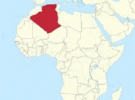 Algeria’s Energy Comeback: Why Gas, Petrochemicals Drive a New Industrial Phase