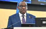 UN Agency Chief Told Foreign Investors Not to Focus on Risks, Neglect Africa's Potential