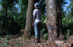 UNFPA Calls for Protection of 2.5 million Ethiopian Girls at Risk of FGM