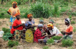 European Bank to Help Ethiopia Improve Agriculture with €110 Million Funding