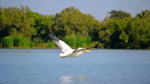 Lake Tana of Ethiopia Monastic Heritage, Water Systems, and Cultural Landscape
