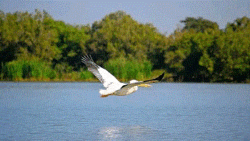 Lake Tana of Ethiopia Monastic Heritage, Water Systems, and Cultural Landscape