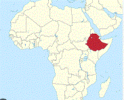 US Warns Its Citizens Not to Travel to Many Regions of Ethiopia