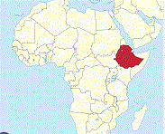 US Warns Its Citizens Not to Travel to Many Regions of Ethiopia