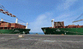 Ethiopian Shipping Lines Makes 117 Billion Birr