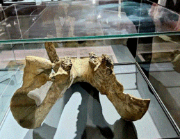 Museums in Addis Ababa: Historical Narratives, National Identity