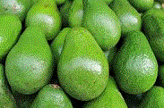 Yirgalem Integrated Agro-Industrial Park Commences Avocado Export