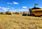 Ethiopia’s Agricultural Investment Contributions to Export Earnings, Import Substitution