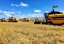 Ethiopia’s Agricultural Investment Contributions to Export Earnings, Import Substitution